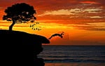 boy, cliff, jump