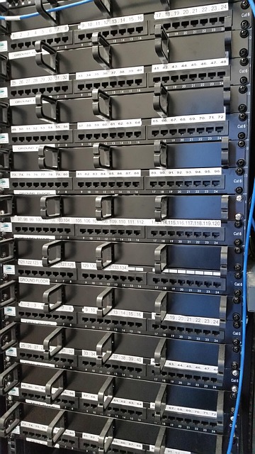 Free Data Communications photo and picture