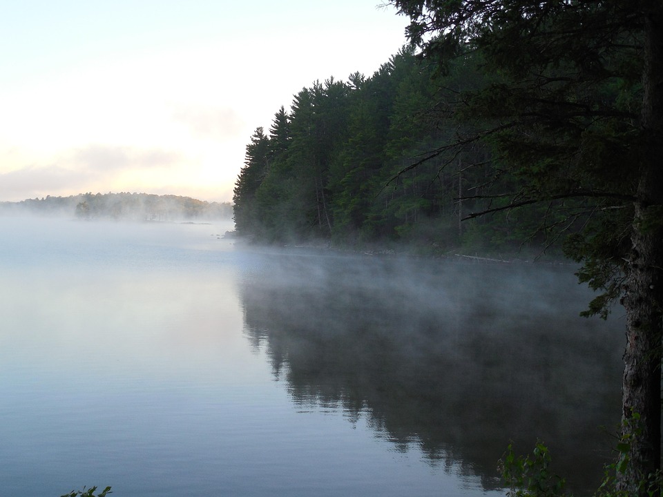 Free photo Mist, Fog, Dawn, Morning, Outdoor Free Image on Pixabay