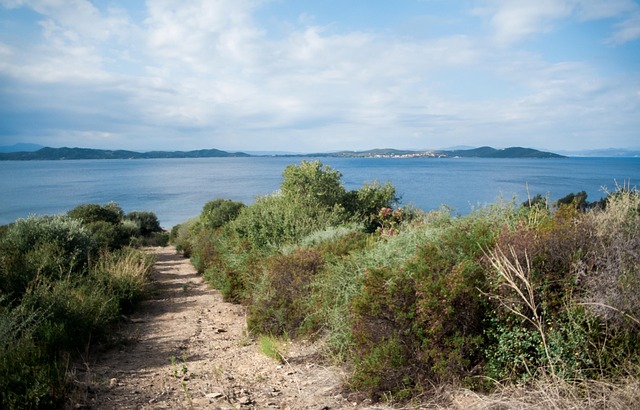 Free Sea Beach photo and picture