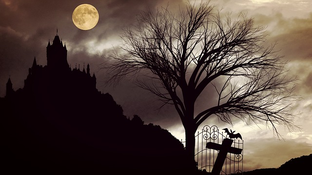 Free castle castle ruins moonlight illustration