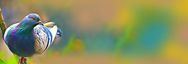 Free banner digital graphics illustration