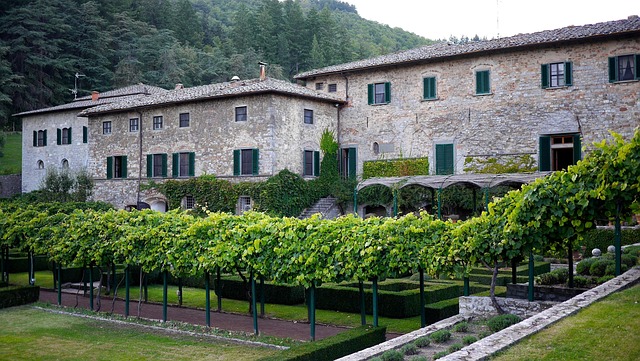 Free Castle Tuscany photo and picture