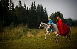 horse, forest, girls