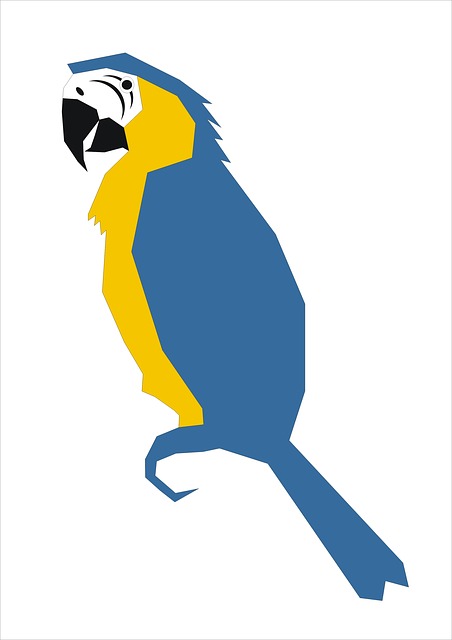 Papegøye, Grafikk, Natur, Fugl