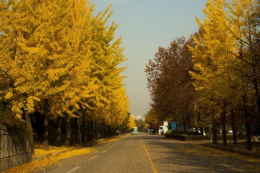 Free Hanam City Autumn photo and picture