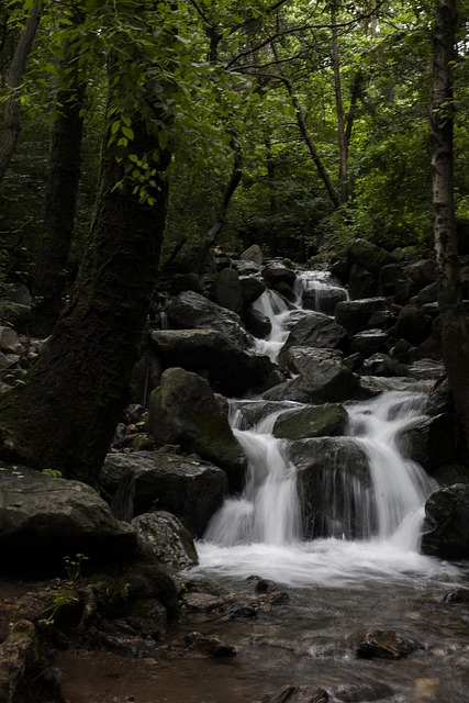 Free Nature Mountain photo and picture