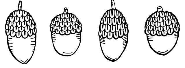 Free acorns fall acorn illustration