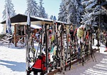 ski areal, ski, stand with skis