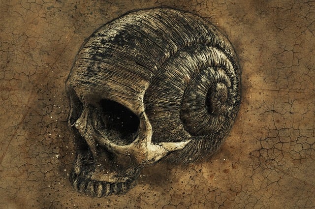 Free skull background texture illustration