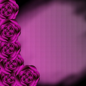 Rosa, Flor, Verão, Projeto, Planta