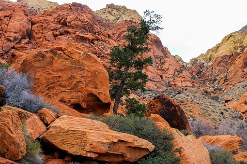 Utah, Red Rocks, Red, National, Park
