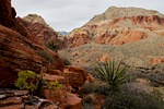 utah, red rocks, red