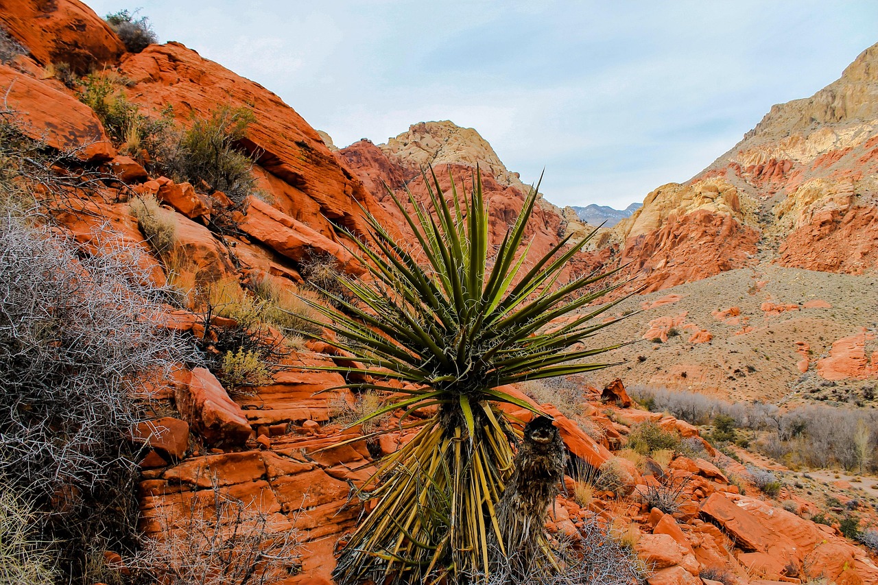 Red Rocks In Utah Utah Red Rocks - Free photo on Pixabay - Pixabay