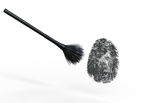 fingerprint, brush, identity