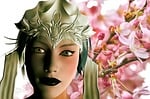 memoirs of a geisha, japan, cherry blossom