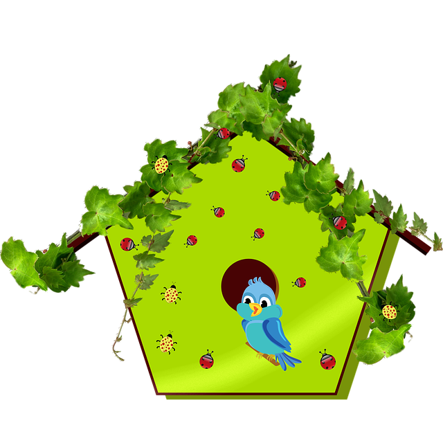 Free bluebird bird nature illustration
