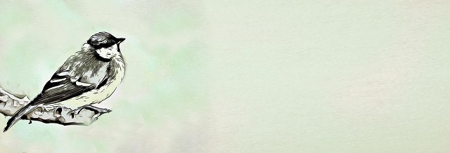 Banner, Digital, Meise, Vogel, Grafik