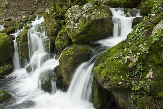 Wasser, Herbst, Natur, Landschaft