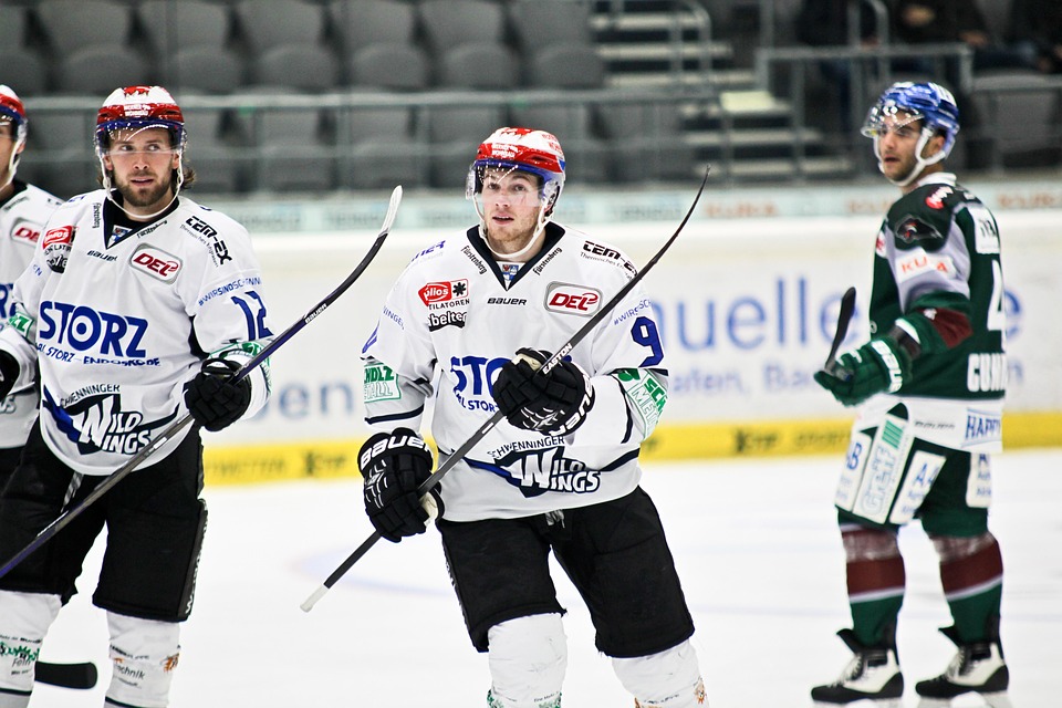 Ice Hockey, Schwenningen, Wild Wings
