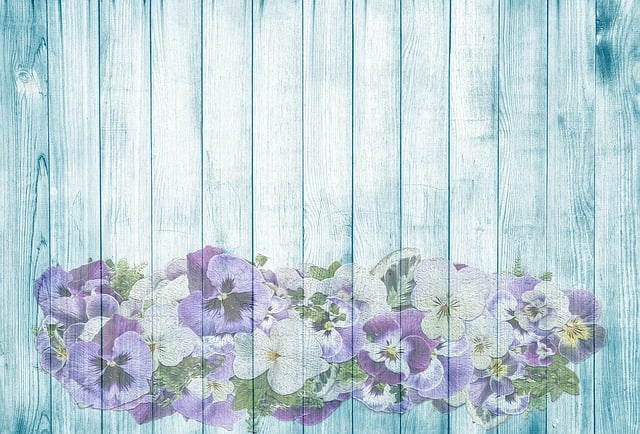 Free pansy on wood summer illustration