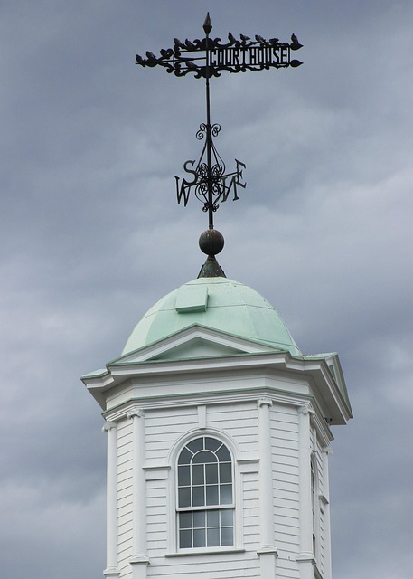 Free Weather Vane Copula photo and picture