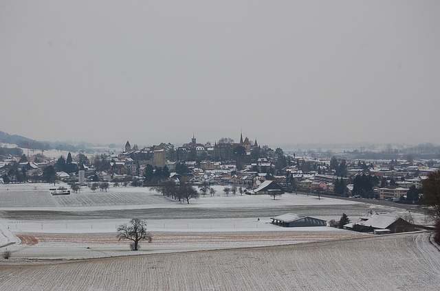 Free Avenches Town photo and picture