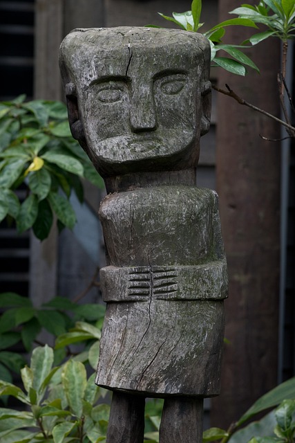 Free Melbourne Zoo Voodoo photo and picture