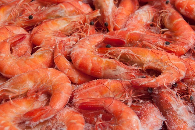 Free Prawns Seafood photo and picture
