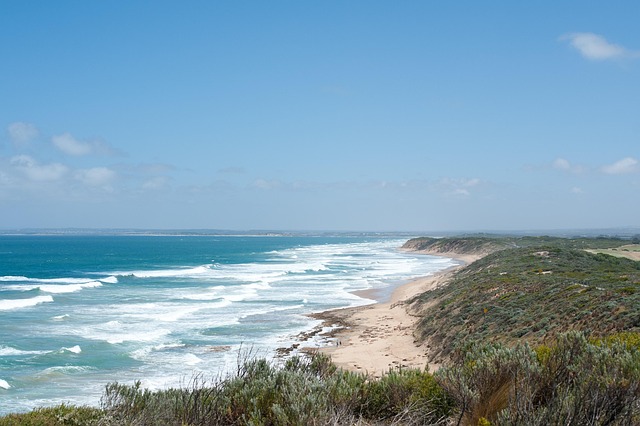 Free Coast Beach photo and picture