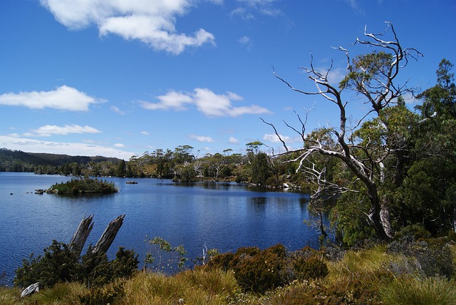 Meer, Nationaalpark Van Cradle Mountain