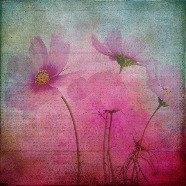 Struktur, Baggrund, Blomster, Blomst