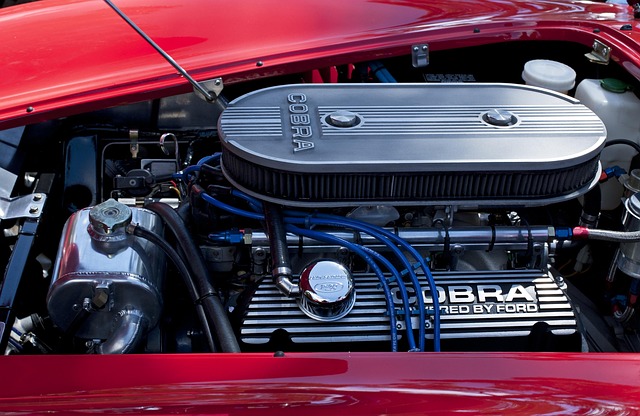 Free Cobra Muscle Car photo and picture