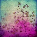 texture, background, flowers