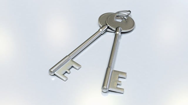 Free keys solution business illustration