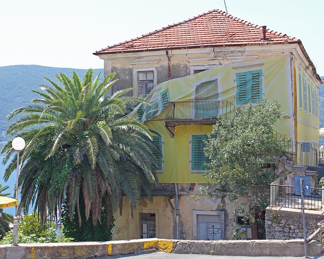 Haus, Palme, Baum, Montenegro, Sommer