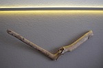 drift wood, wood, antler