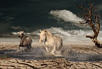 horse, desert, tree