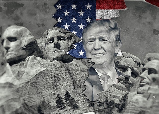 Free trump usa america illustration