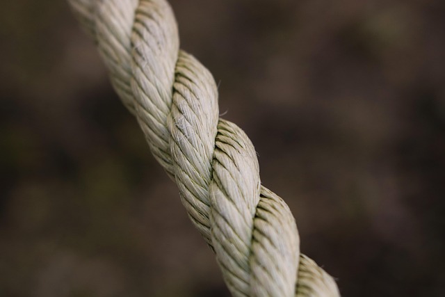 Free Rope Outdoor photo and picture