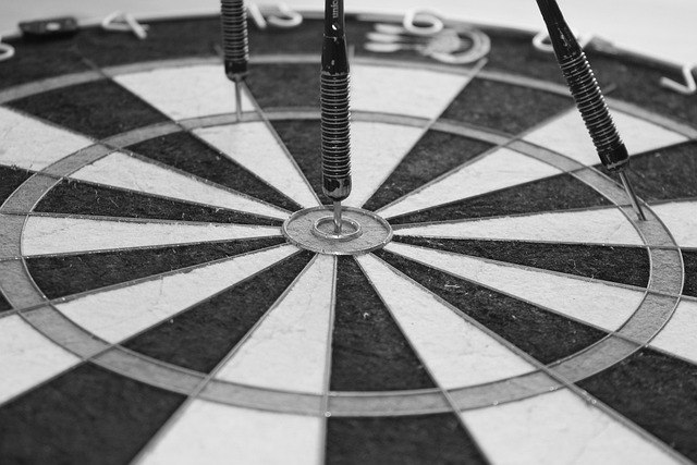 Free Hobby Darts photo and picture