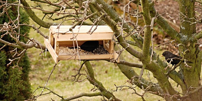 Free Kos Garden Feeder photo and picture