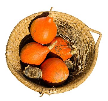 Free Basket Free Background photo and picture