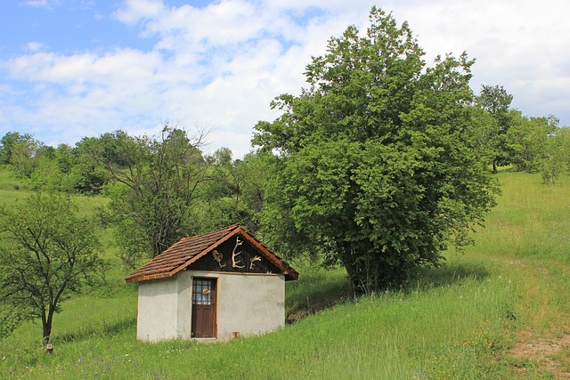 Haus, Hörner, Alt, Natur, Tier, Symbol