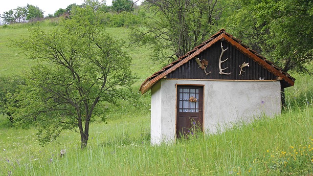 Haus, Hörner, Tier, Heimat, Symbol