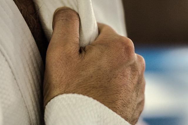 Free Judo Hands photo and picture