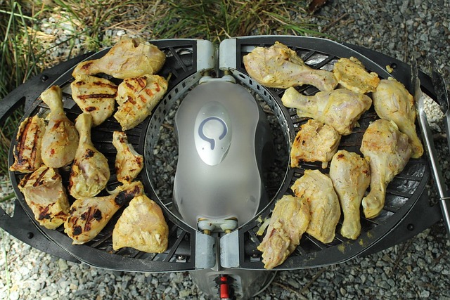 Bbq, Barbecue, Kip, Eten, Picknick