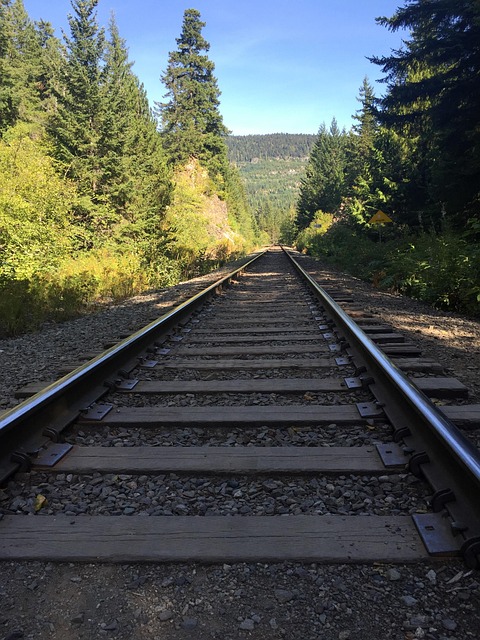 Spoorweg, Bergen, Natuur, Het Spoor