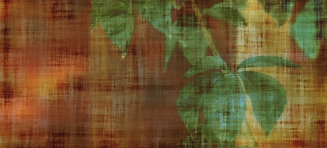 Free parchment paper leaves illustration