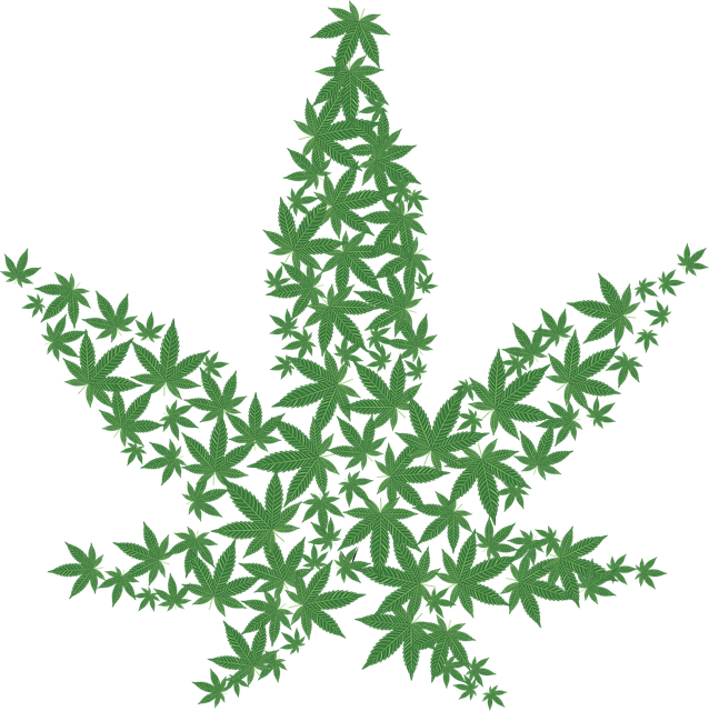 Cannabis Drug Forbidden - Free vector graphic on Pixabay